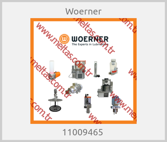 Woerner - 11009465 