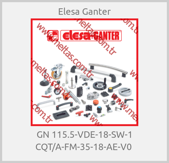 Elesa Ganter-GN 115.5-VDE-18-SW-1 CQT/A-FM-35-18-AE-V0 