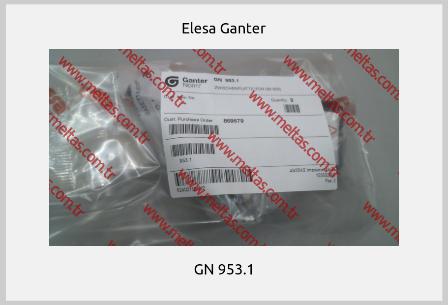 Elesa Ganter - GN 953.1