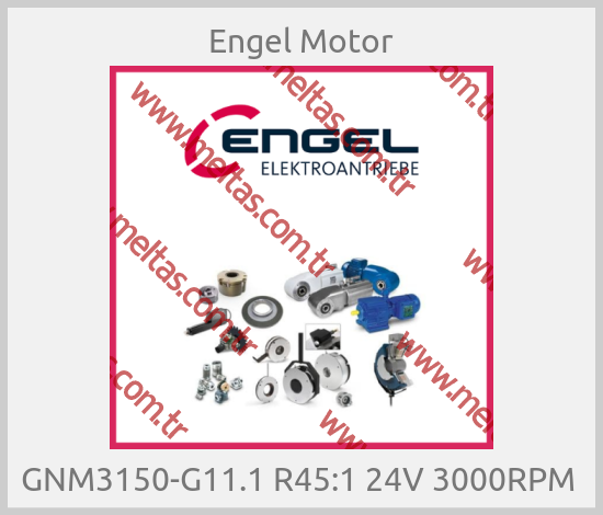 Engel Motor - GNM3150-G11.1 R45:1 24V 3000RPM 