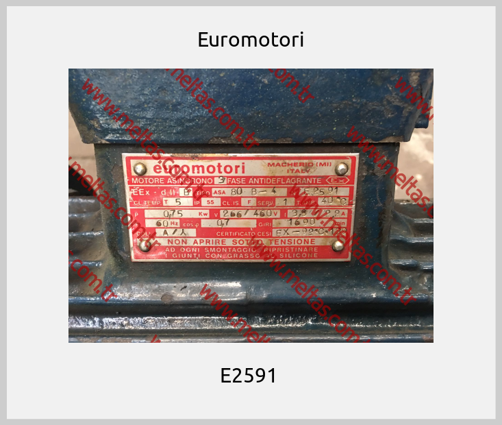 Euromotori - E2591 