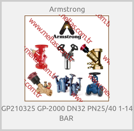 Armstrong - GP210325 GP-2000 DN32 PN25/40 1-14 BAR 