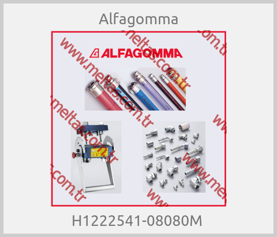 Alfagomma-H1222541-08080M 