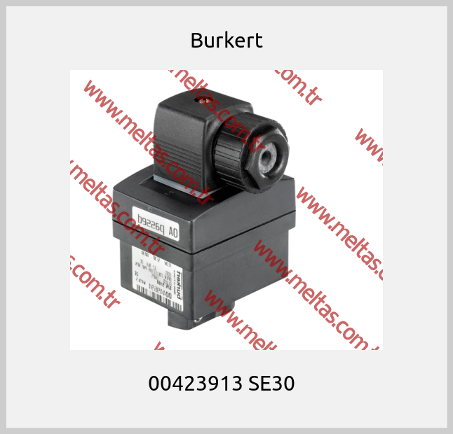 Burkert - 00423913 SE30  