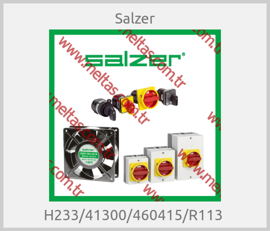 Salzer-H233/41300/460415/R113 