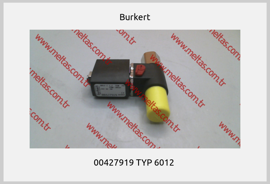 Burkert - 00427919 TYP 6012 