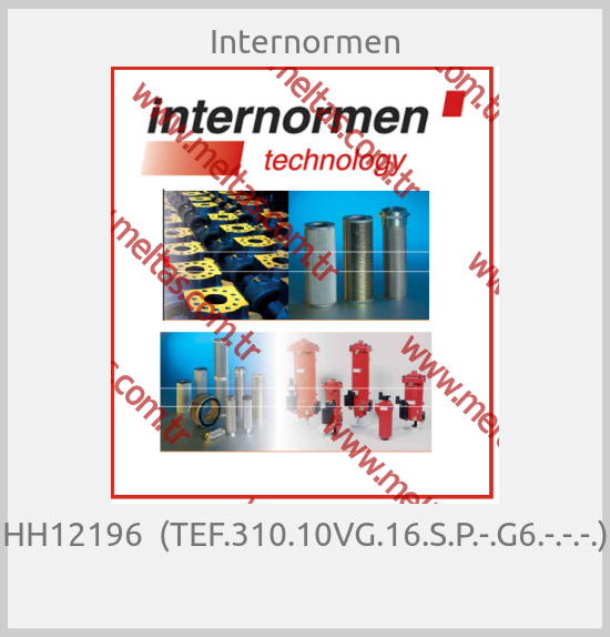 Internormen - HH12196  (TEF.310.10VG.16.S.P.-.G6.-.-.-.) 