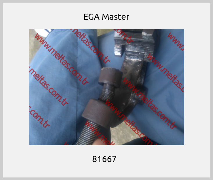 EGA Master - 81667  