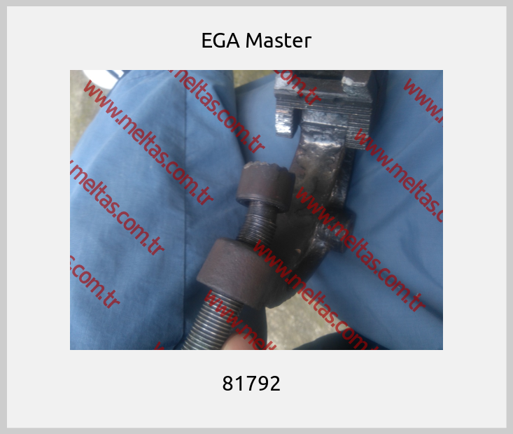 EGA Master - 81792  