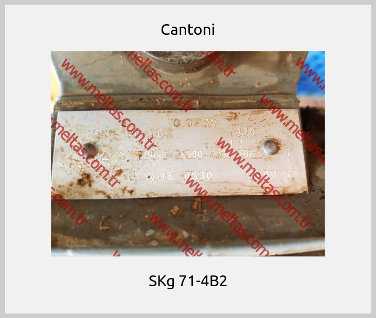 Cantoni-SKg 71-4B2