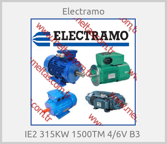 Electramo - IE2 315KW 1500TM 4/6V B3 