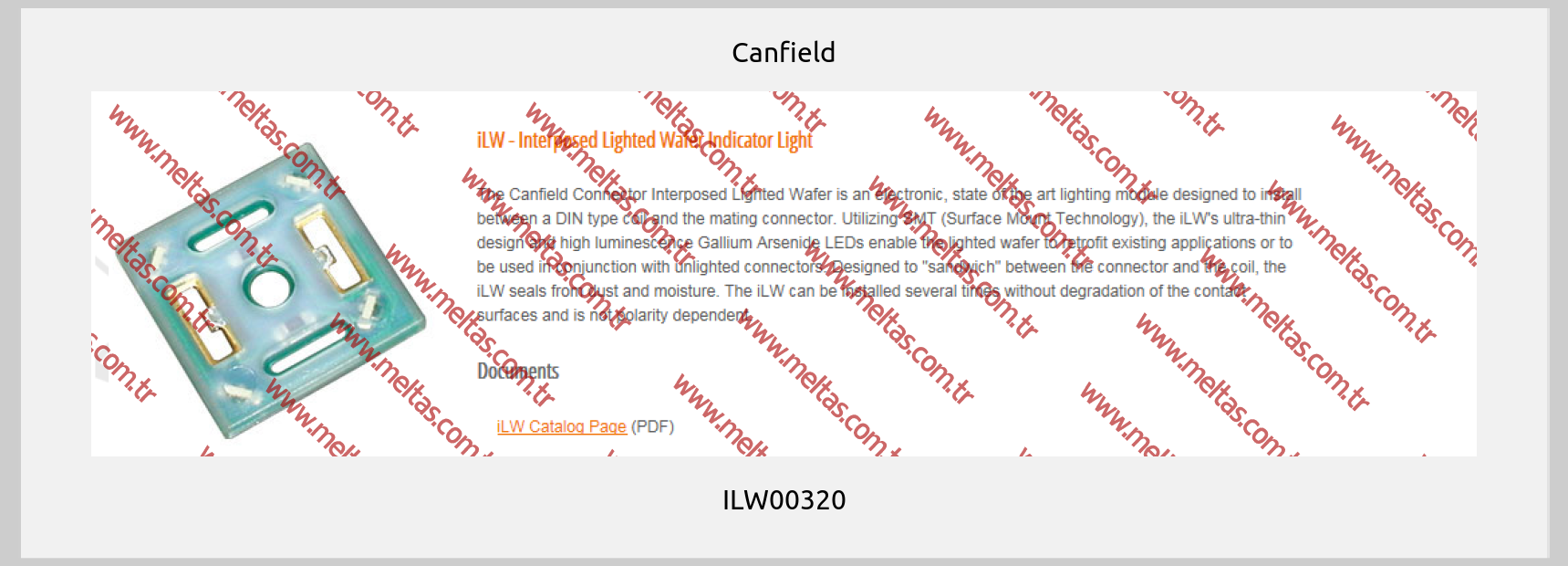 Canfield-ILW00320