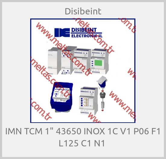 Disibeint - IMN TCM 1" 43650 INOX 1C V1 P06 F1 L125 C1 N1 