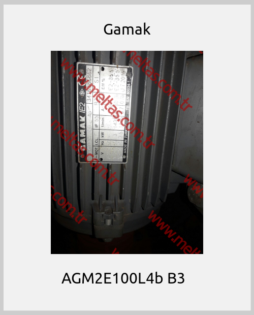 Gamak - AGM2E100L4b B3  