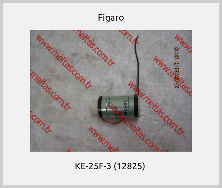 Figaro-KE-25F-3 (12825) 