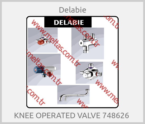 Delabie-KNEE OPERATED VALVE 748626 
