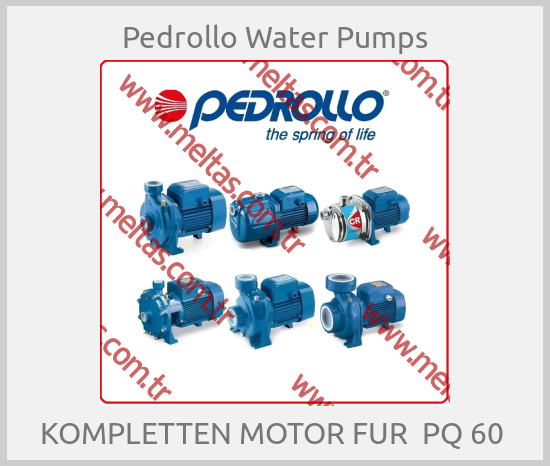 Pedrollo Water Pumps - KOMPLETTEN MOTOR FUR  PQ 60 