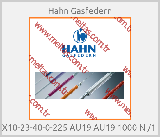Hahn Gasfedern - X10-23-40-0-225 AU19 AU19 1000 N /1 