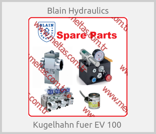 Blain Hydraulics - Kugelhahn fuer EV 100 