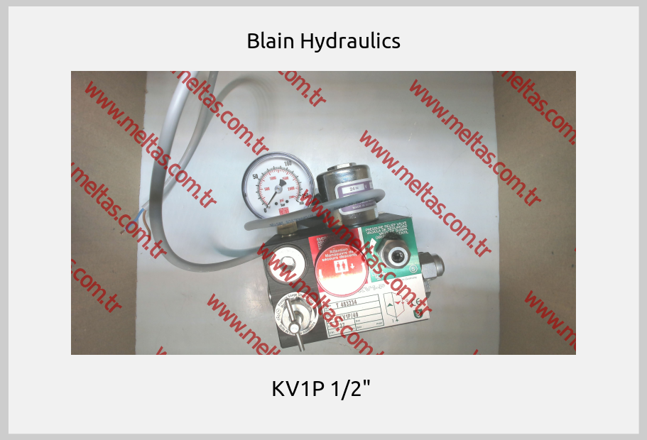 Blain Hydraulics - KV1P 1/2" 