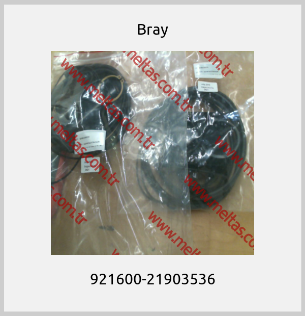 Bray - 921600-21903536