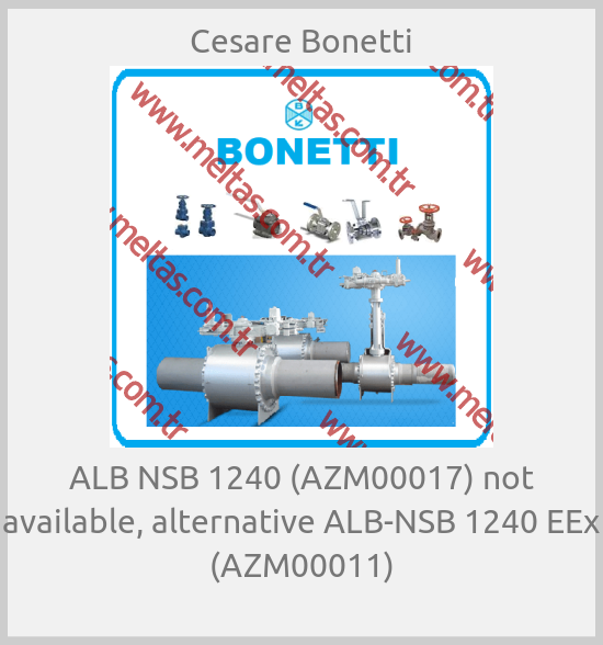 Cesare Bonetti - ALB NSB 1240 (AZM00017) not available, alternative ALB-NSB 1240 EEx (AZM00011)