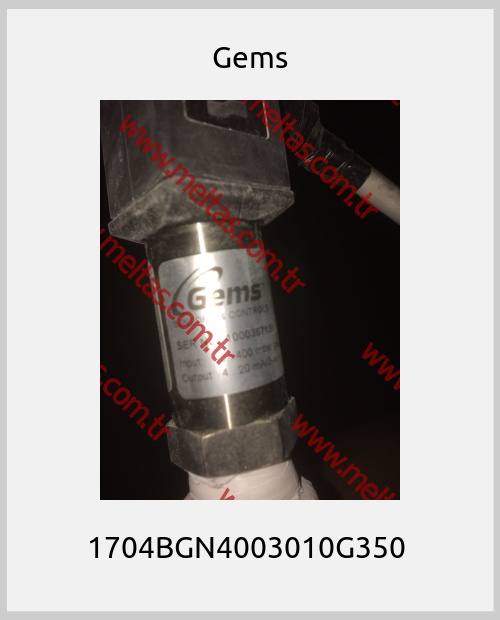 Gems - 1704BGN4003010G350 