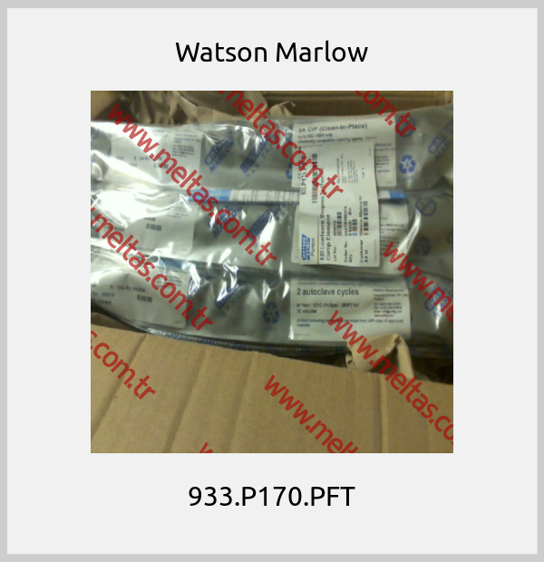 Watson Marlow - 933.P170.PFT