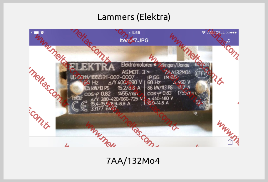 Lammers (Elektra) - 7AA/132Mo4 