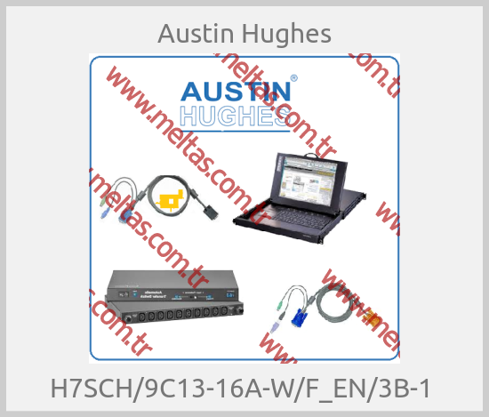 Austin Hughes - H7SCH/9C13-16A-W/F_EN/3B-1 