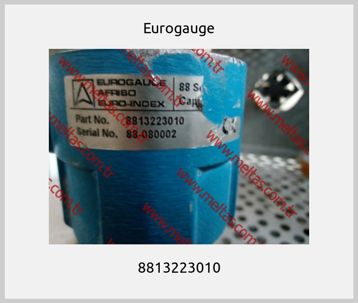 Eurogauge - 8813223010