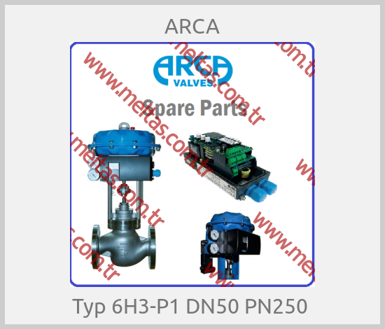 ARCA - Typ 6H3-P1 DN50 PN250 