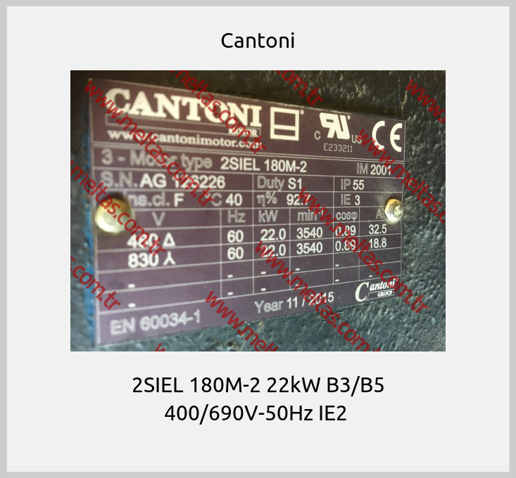 Cantoni - 2SIEL 180M-2 22kW B3/B5 400/690V-50Hz IE2 