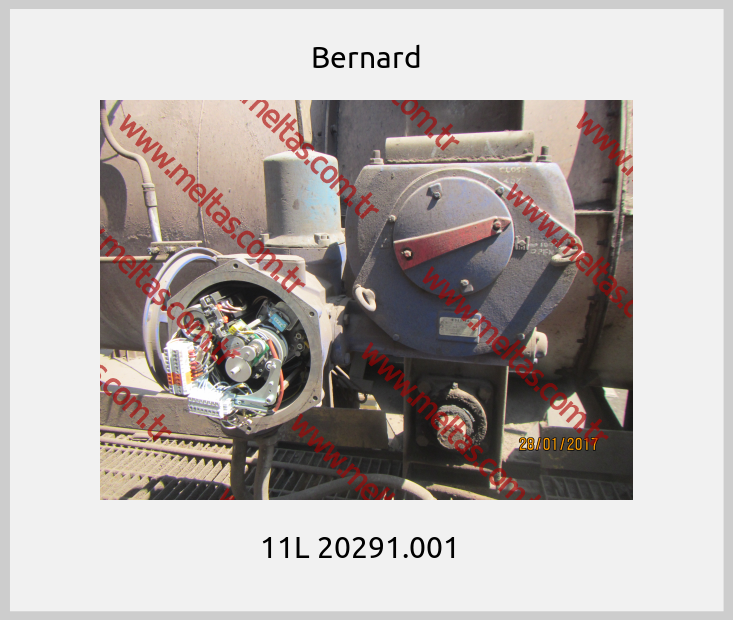 Bernard-11L 20291.001  