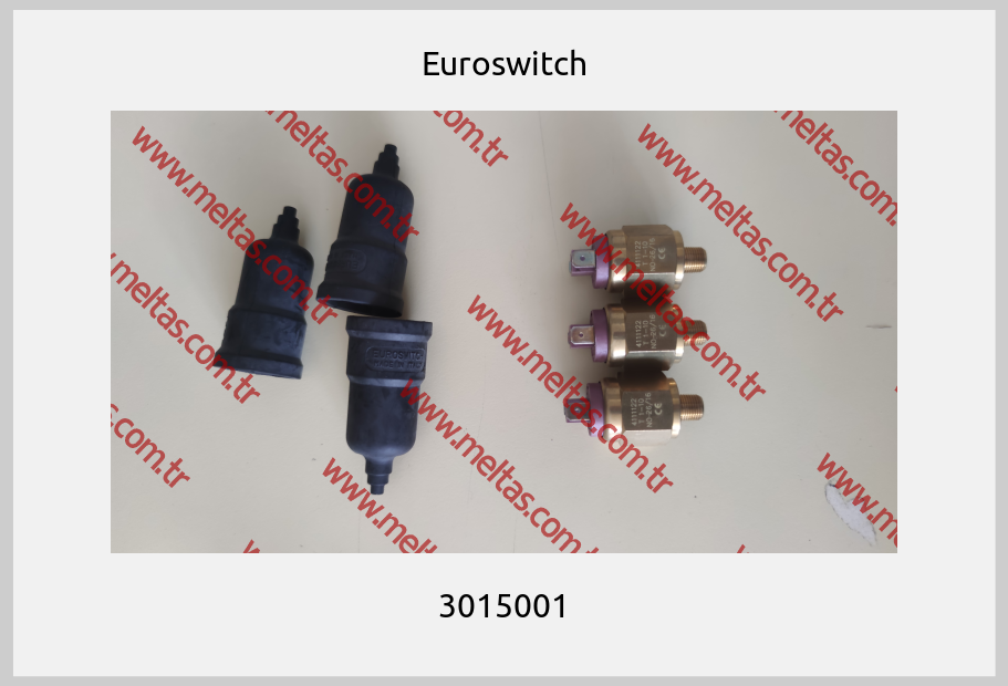 Euroswitch - 3015001
