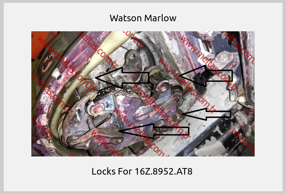 Watson Marlow - Locks For 16Z.8952.AT8 