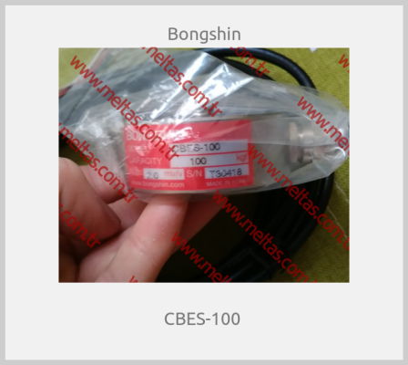 Bongshin-CBES-100 