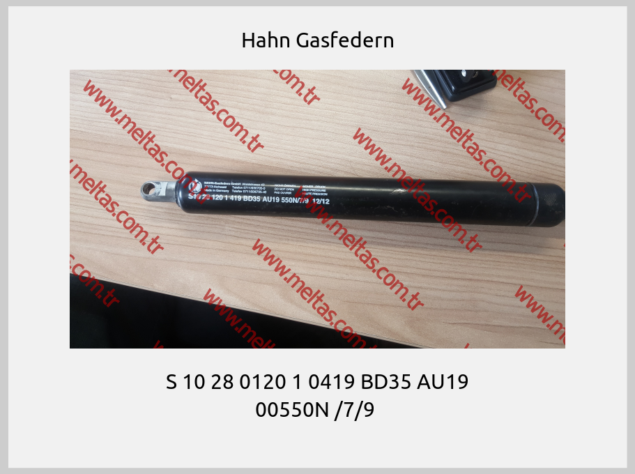 Hahn Gasfedern - S 10 28 0120 1 0419 BD35 AU19 00550N /7/9 