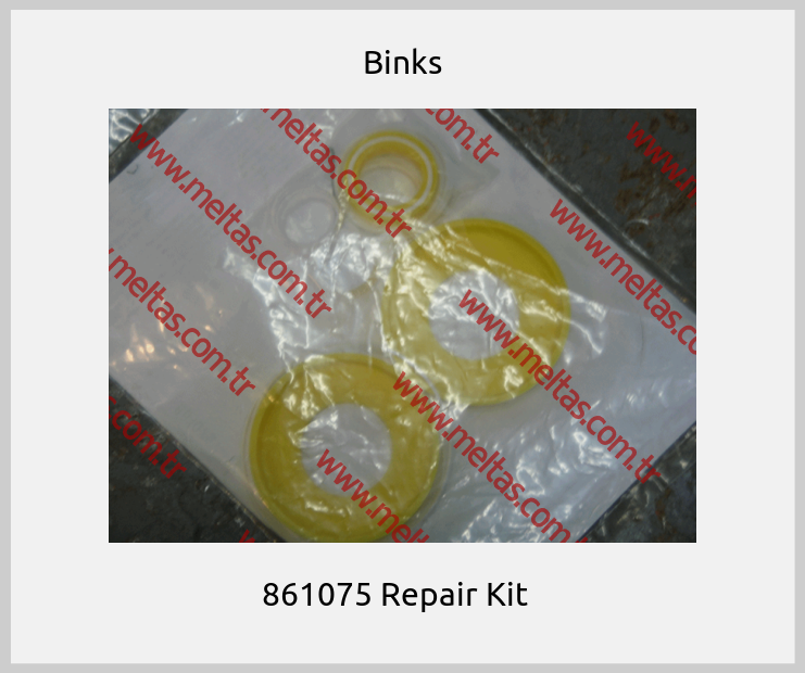 Binks-861075 Repair Kit  