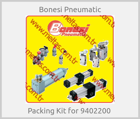 Bonesi Pneumatic - Packing Kit for 9402200 
