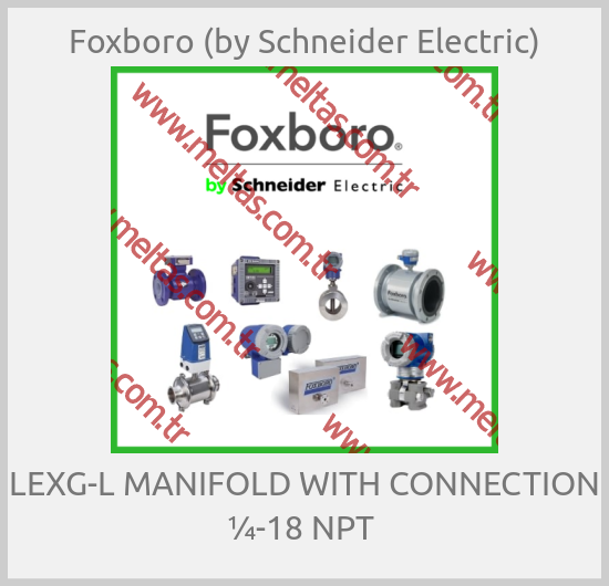 Foxboro (by Schneider Electric) - LEXG-L MANIFOLD WITH CONNECTION ¼-18 NPT 