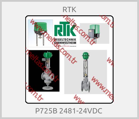 RTK - P725B 2481-24VDC 