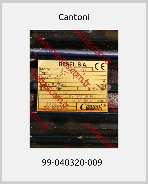 Cantoni-99-040320-009  