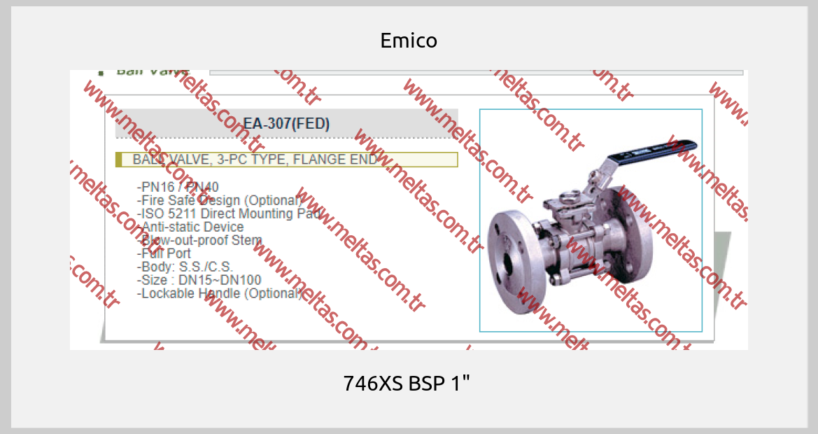 Emico-746XS BSP 1" 