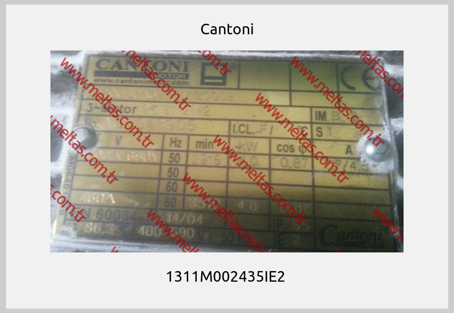 Cantoni - 1311M002435IE2 