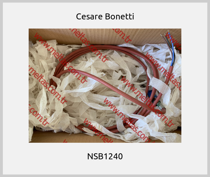 Cesare Bonetti - NSB1240