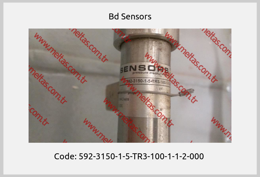 Bd Sensors - Code: 592-3150-1-5-TR3-100-1-1-2-000 