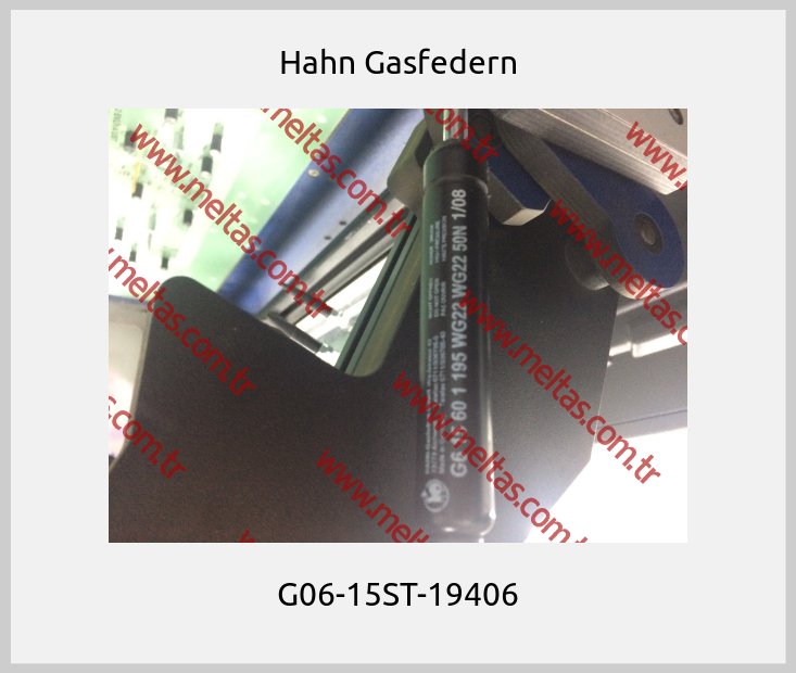 Hahn Gasfedern - G06-15ST-19406