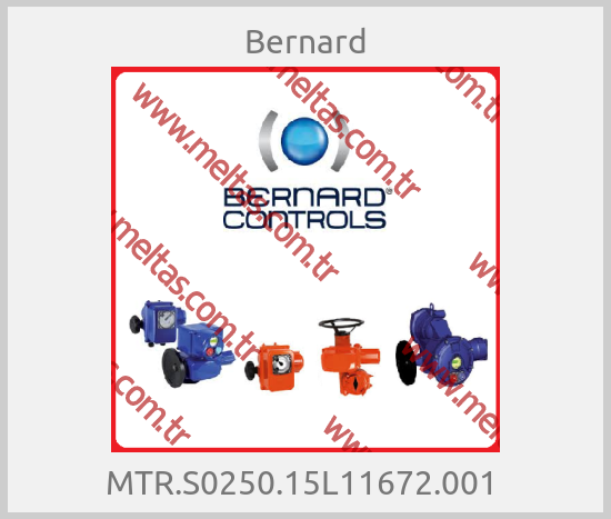 Bernard - MTR.S0250.15L11672.001 