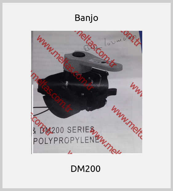 Banjo - DM200 